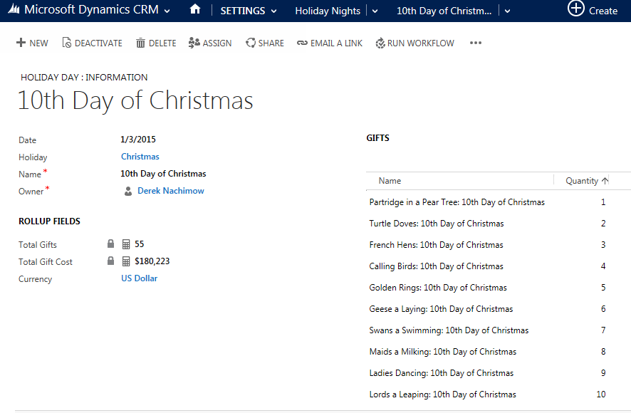 Holiday Day Record CRM 2015